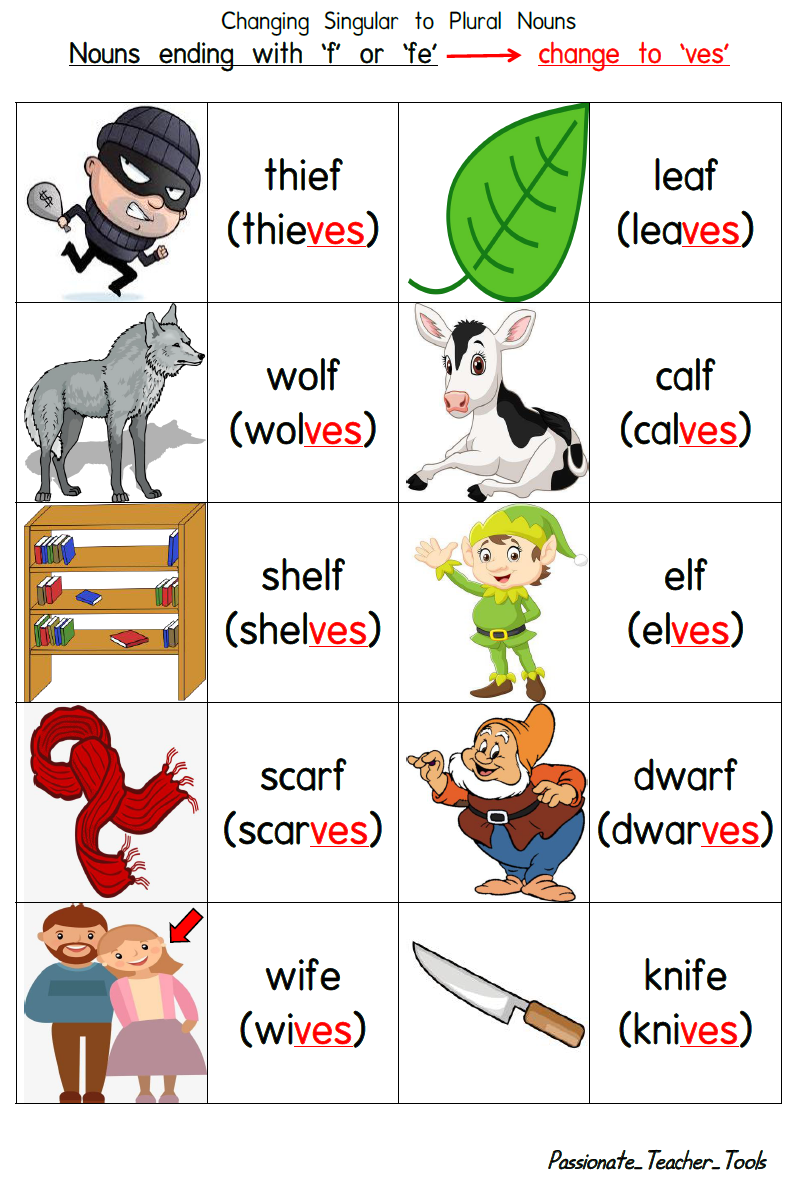 passionate-teacher-tools-singular-and-plural-nouns-1-charts-and-quiz