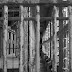 Sistema carcerário do PR registra pelo menos 109 presos e sete servidores com Covid-19