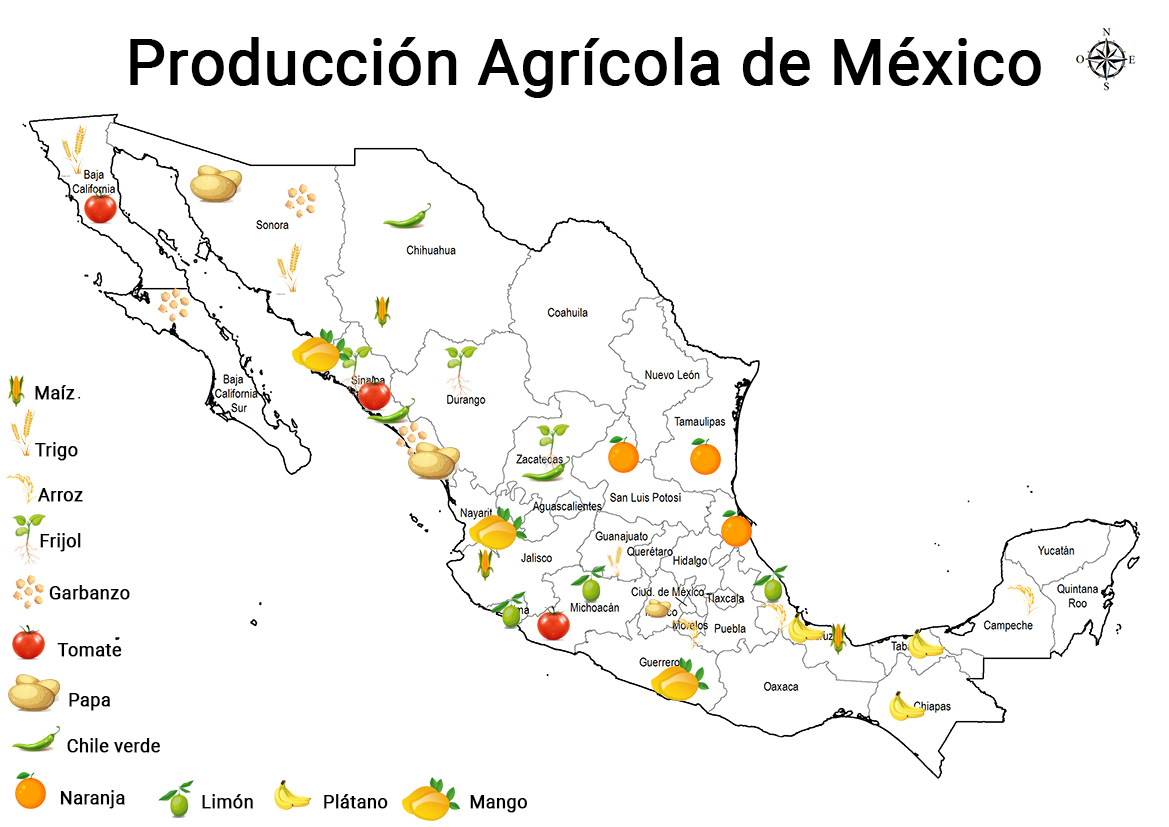 Semana 7 del 5 al 9 de Octubre de 2020