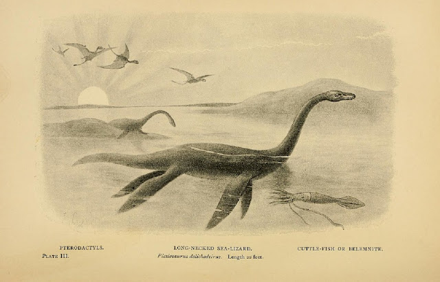 Слева направо: птеродактили, плезиозавр (Long-necked Sea-Lizard), каракатица или белемнит (Cuttle-fish or Belemnite)