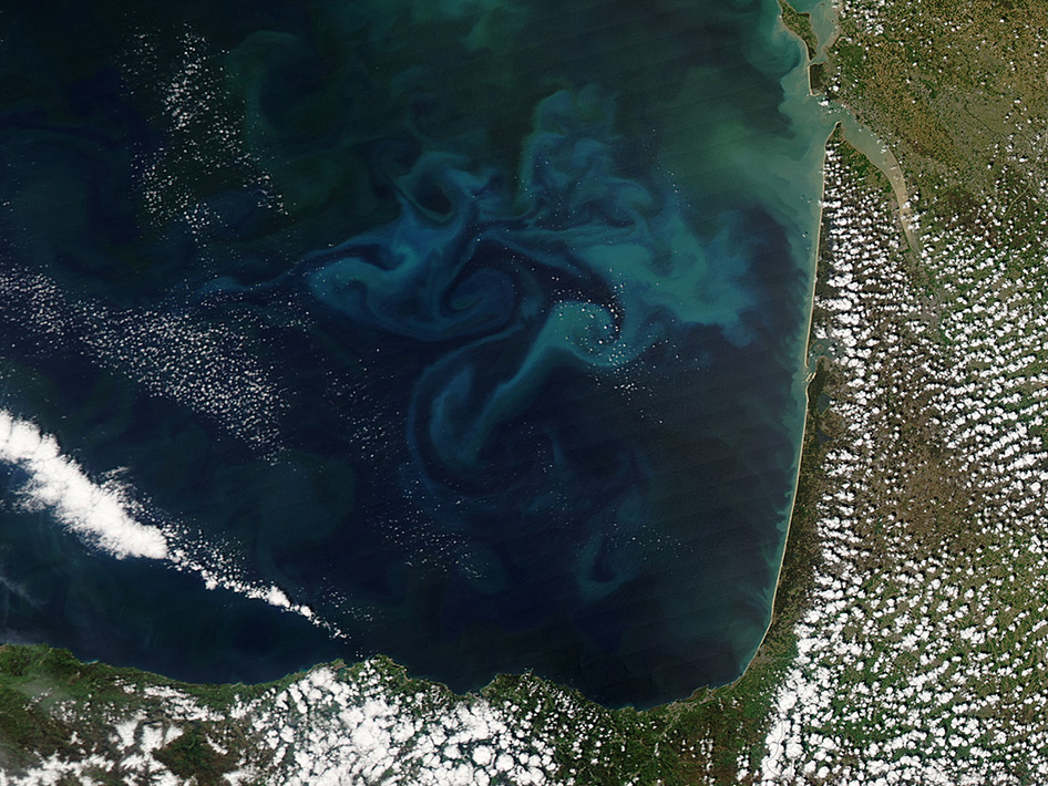 Suburban spaceman NASA MODIS Image Springtime phytoplankton bloom in