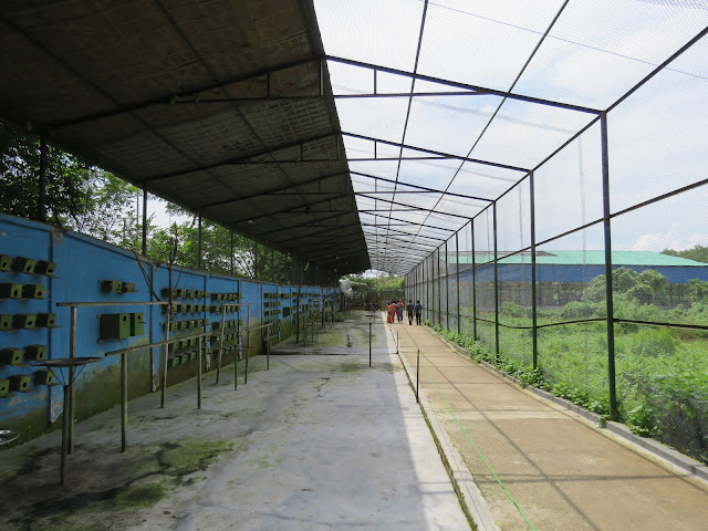 Bangabandhu Safari Park  