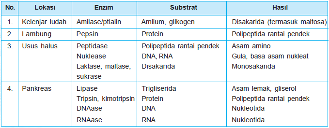 enzim a mély zsírégetéshez)