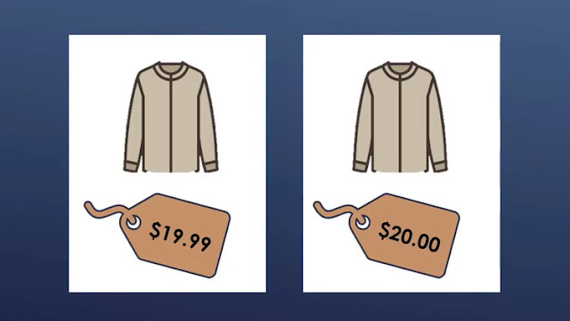 Price to Profit: Psychology & Science of Pricing Business