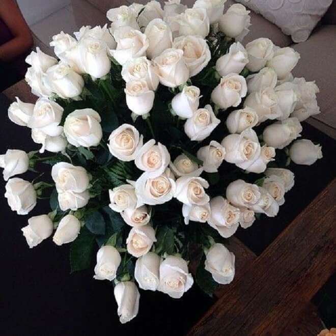 Fatieyn S Shop 3 Bunga Ros Putih Bunga Ros Putih Facebook