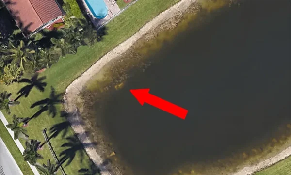  Body of Man Who Went Missing in 1997 Discovered in Pond on Google Maps, America, Missing, Dead Body, Police, World