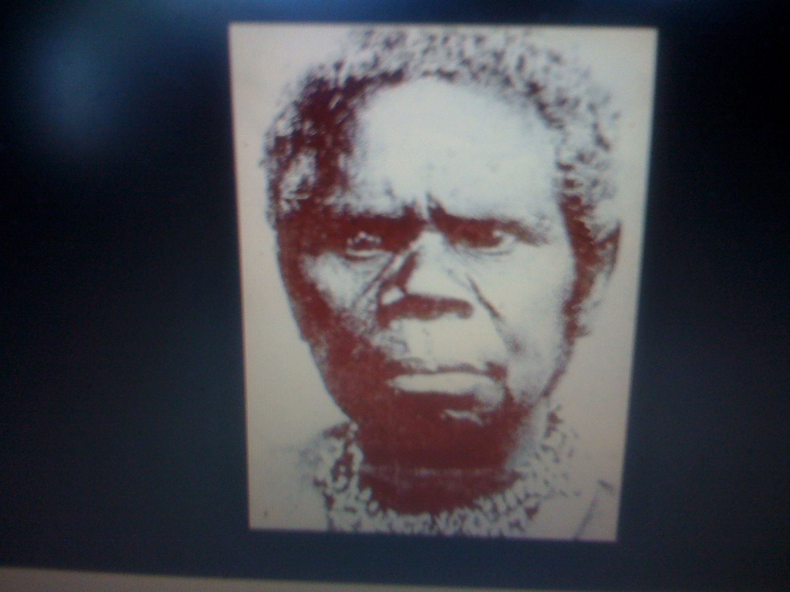 THE BLACK SOCIAL HISTORY BLACK SOCIAL HISTORY THE BLACK TASMANIANS