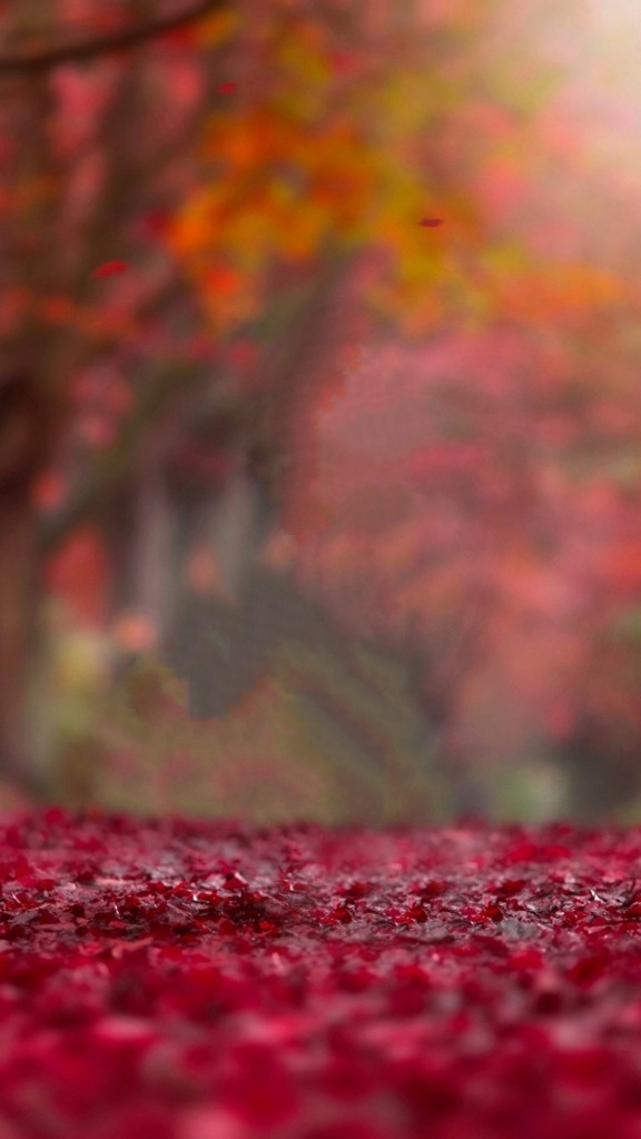 >My First Blog Real Cb Background For Free Best Of Best For Free Go Head Don T Miss