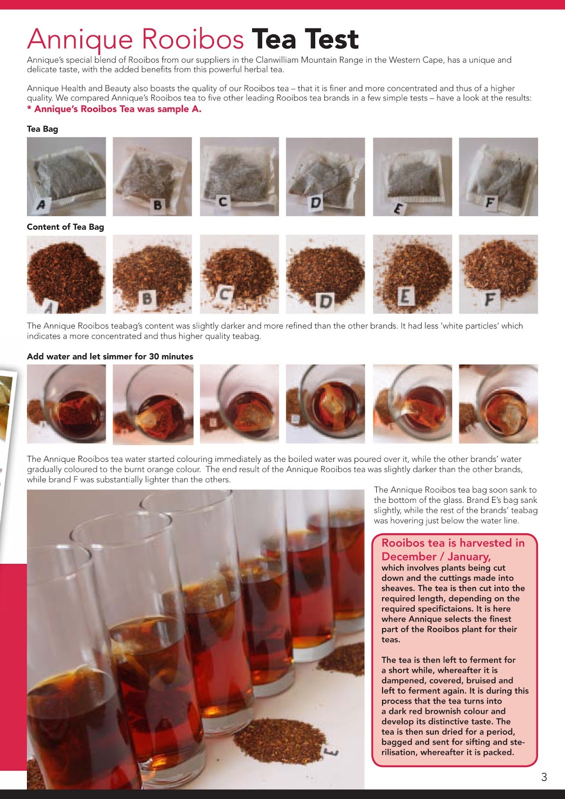 Zhannique Annique Range of Rooibos Teas