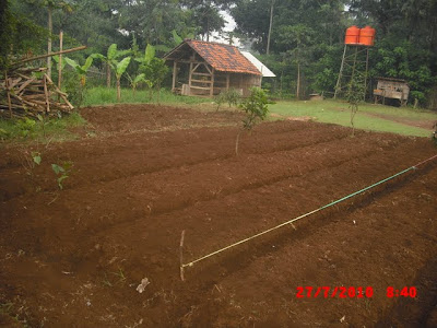 Lahan Perkebunan, Sarana Latihan Keterampilan Anak