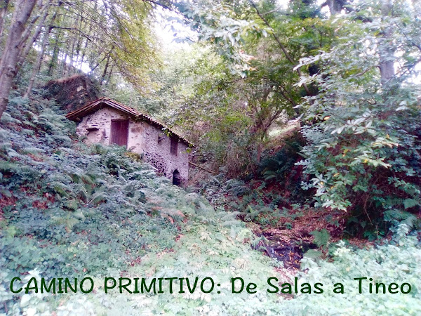 Foto del molino bedures en el Camino Primitivo de Salas a Tineo