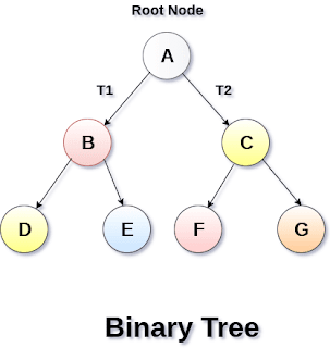 What is the height, size, and depth of a binary tree? - FactzTach Bharti