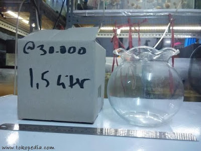 Harga Aquarium Mini Bulat Lengkap