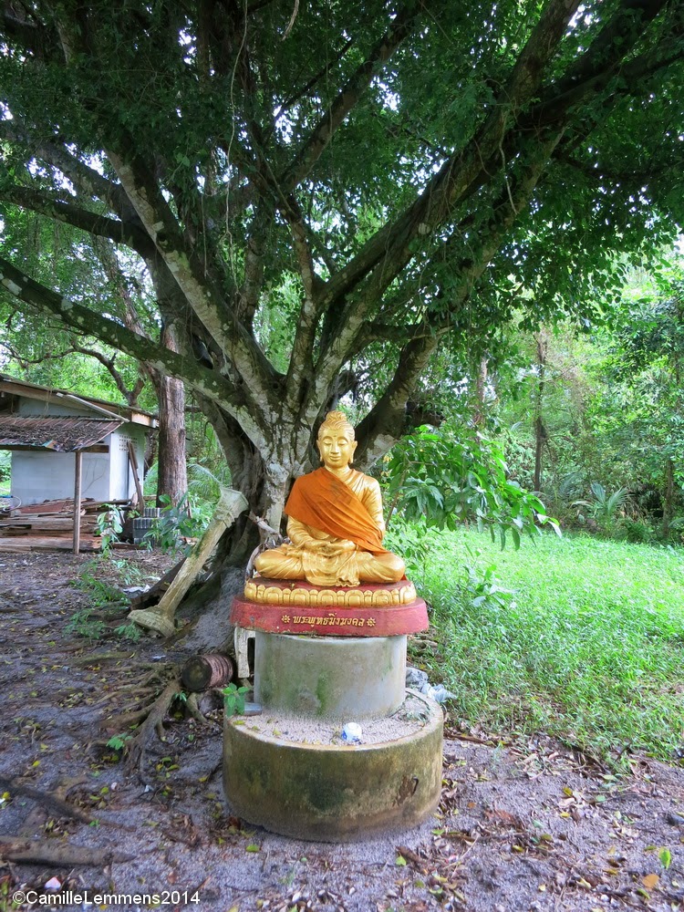 Wat Nara Charoen Suk in Lipa Noi, Buddha statue