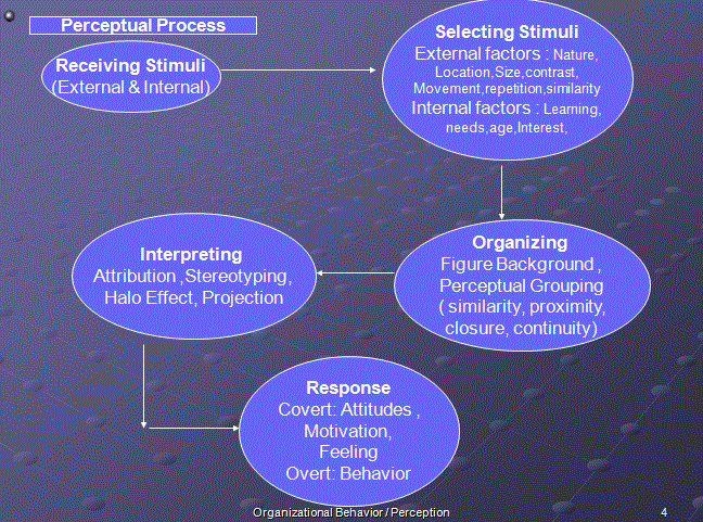 Be An Expert.!: Perception- Consumer Behavior Context.