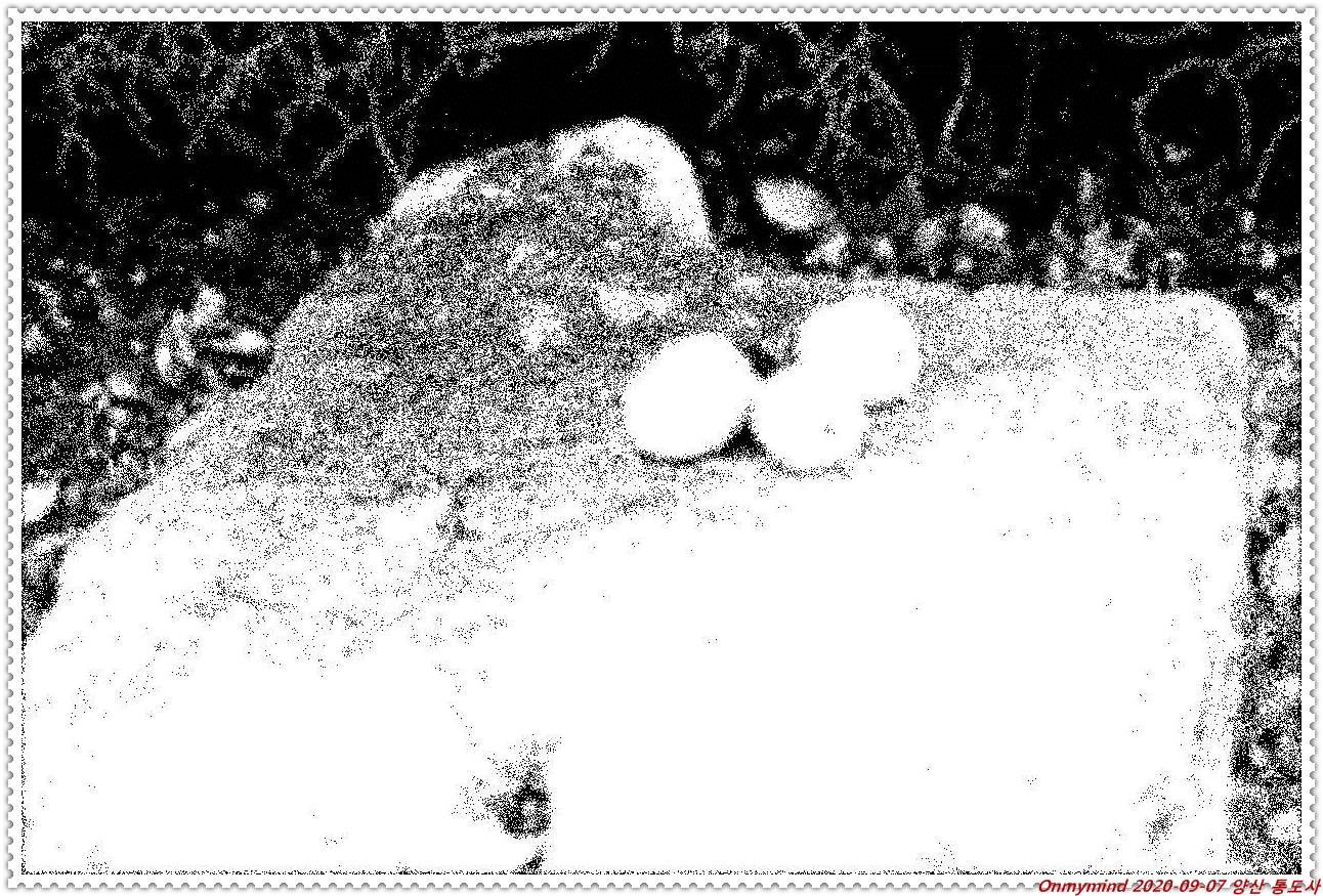 양산 통도사 양산 통도사