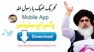 tlp mobile app
