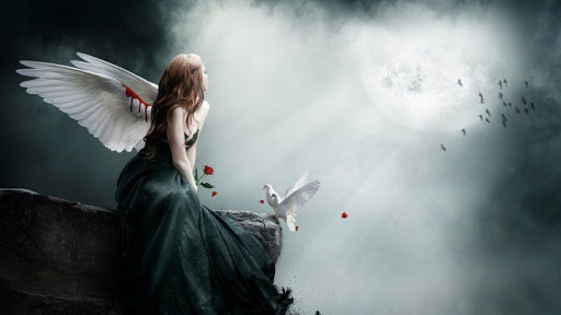 Patah Sebelah Sayap Download AMIE'S LITTLE KITCHEN