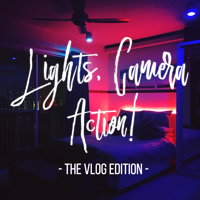 Plus Size Kitten Whole Apartment Hue Connected