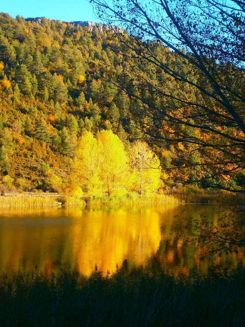 La Laguna del Marquesado. Autor: Miguel Alejandro Castillo Moya