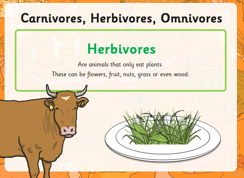 Year 1 Science Week 15