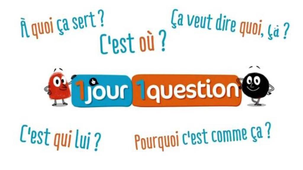 Une question. 1 Jour, 1 question с субтитрами. 1 Jour 1 ACTU описание. 1jour1question Paster. Un jour une question что такое Франция.