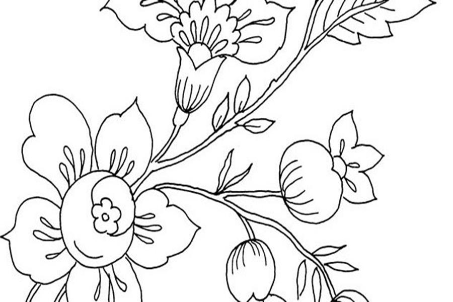 gambar mewarnai tema tumbuhan bunga tulip