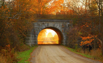 La sombra como puente hacia la luz.