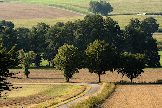 Naturfotografie Nikon Weserbergland