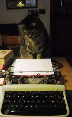 Il Gatto che Legge e Scrive