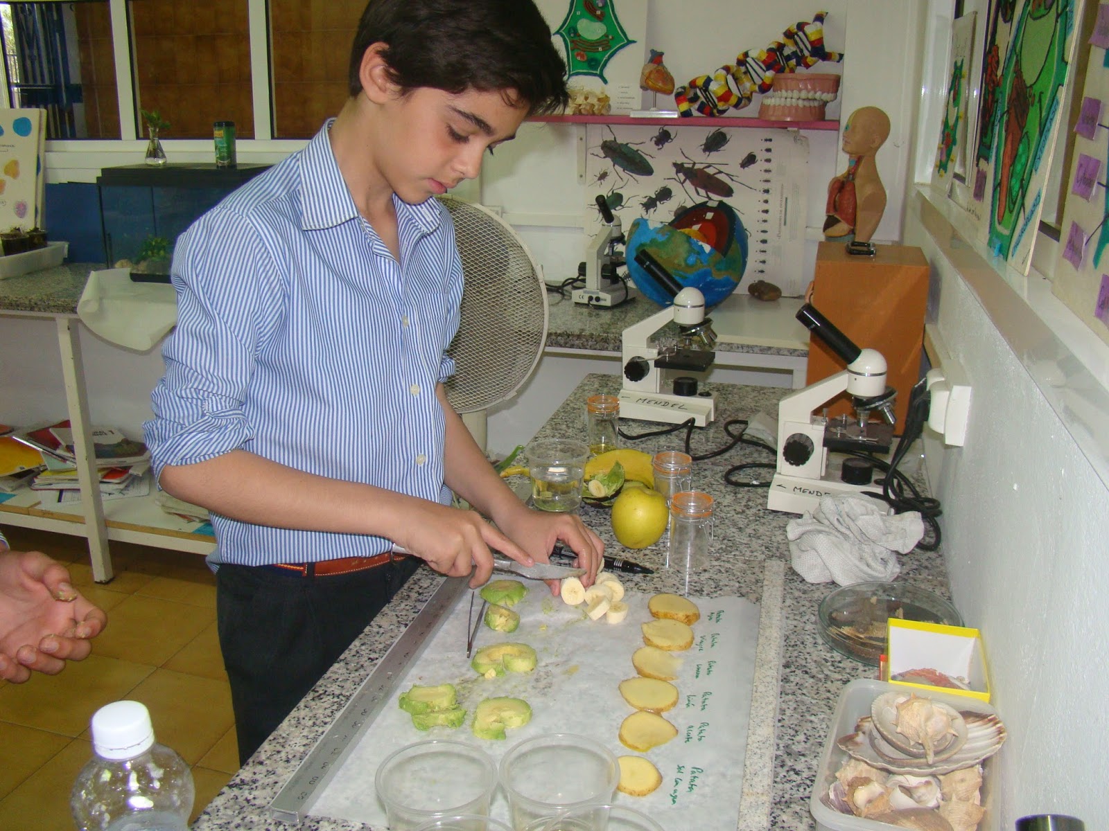 Science Magazine: Fruit Oxidation - Why do foods turn brown? - Science