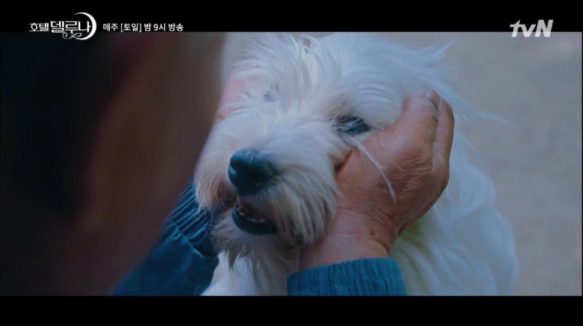 이 이미지는 대체 속성이 비어있습니다. 그 파일 이름은 20210511160752.png입니다