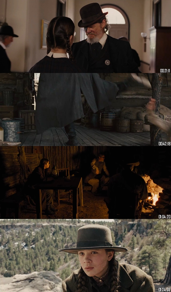 True Grit 2010 BRRip 720p 480p Dual Audio Hindi English Full Movie Download