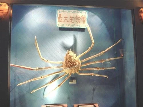 北關休閒農場 台灣螃蟹博物館