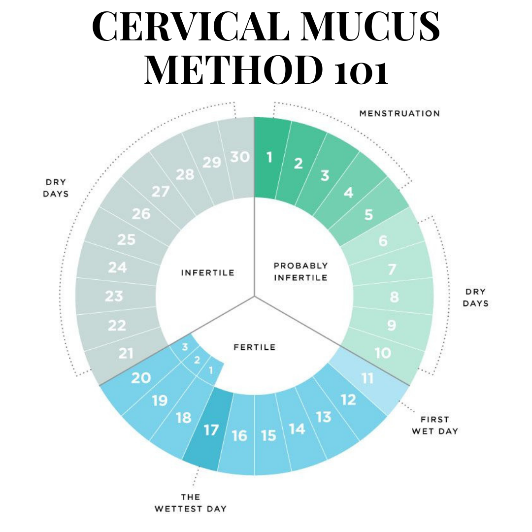 Cervical Mucus Chart