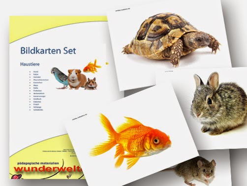 Bildkarten Haustiere - DaZ Material für die Sprachförderung in der Grundschule