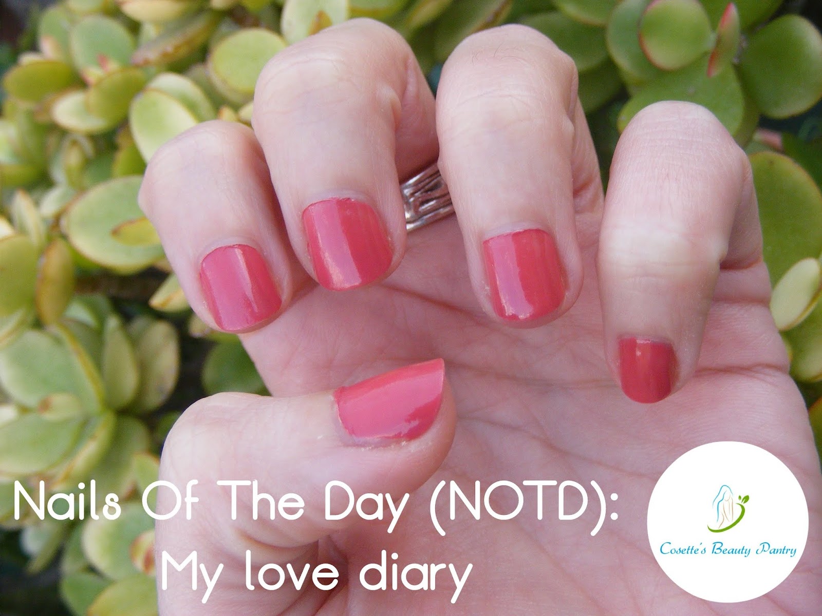 Nails Of The Day (NOTD): My love diary  💅
