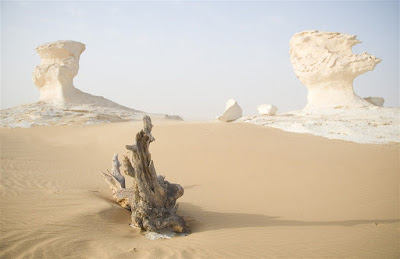 10 Most Amazing Desert In The World 10 Most Amazing Desert In The World