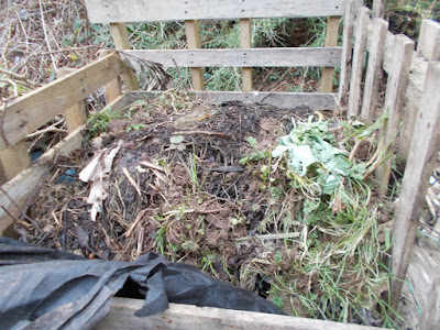 Compost bin from upcycled pallets 80 Minute Allotment Green Fingered Blog