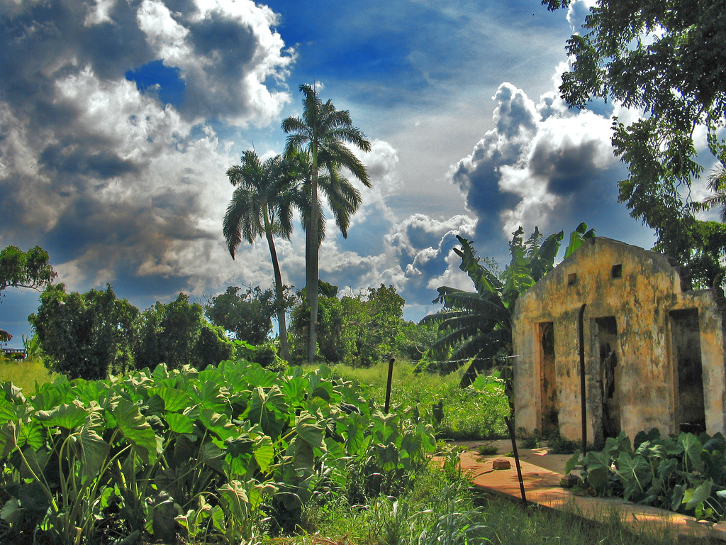 Eight reasons to visit cuba Pictures Of Nature Painting From Cuba | Pictures of Nnature