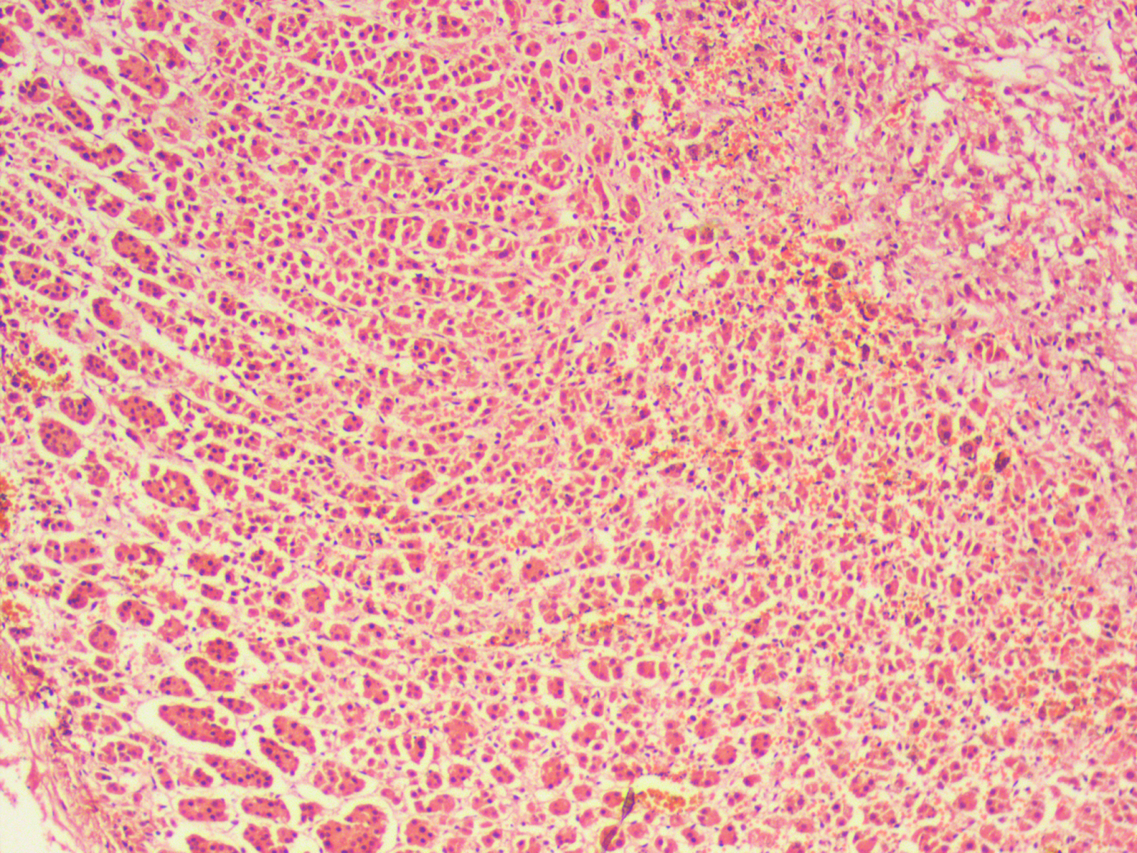 into the roots Adrenal gland