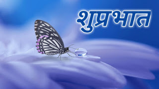 Butterfly for Good morning images for whatsapp in hindi