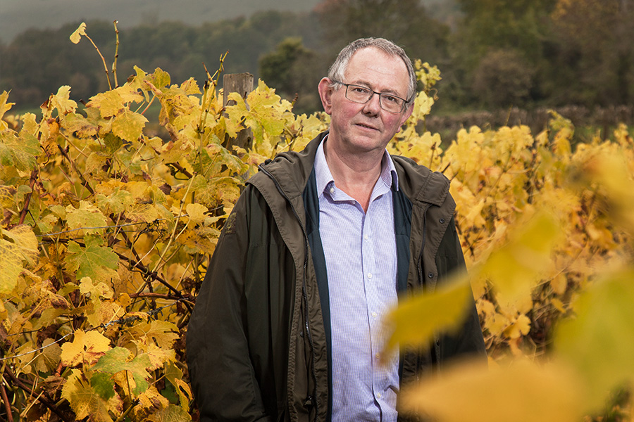 Plumpton College Heart of UK Wine