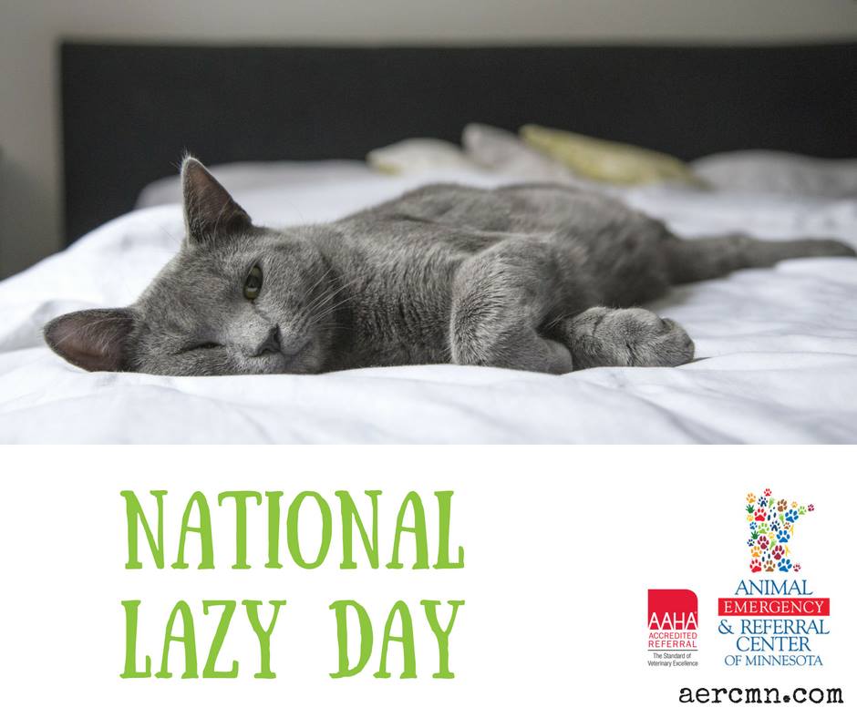 National Lazy Day