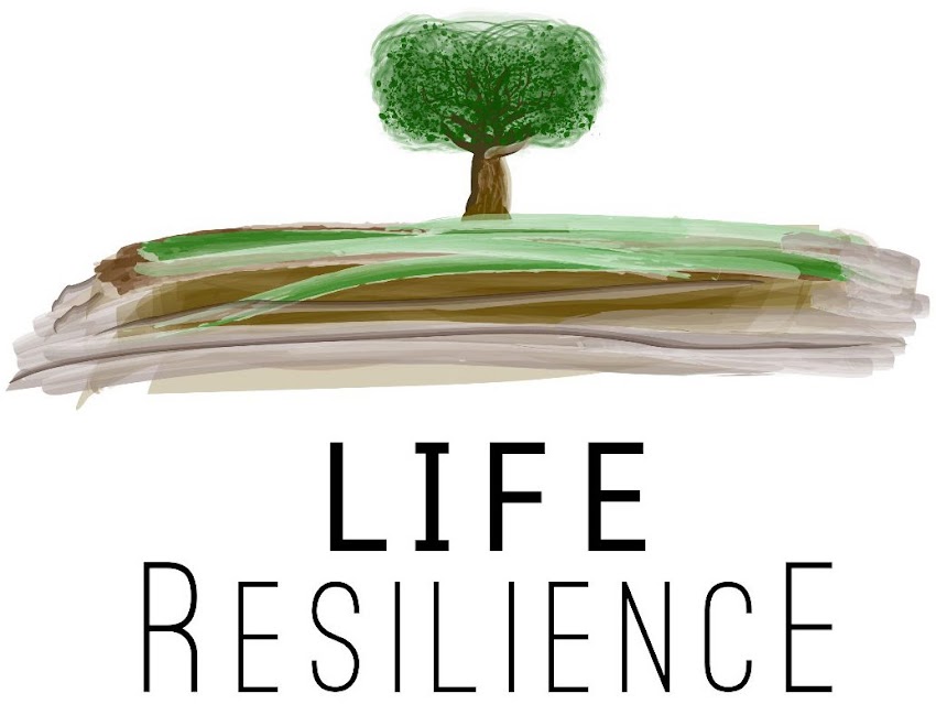 Life resilience