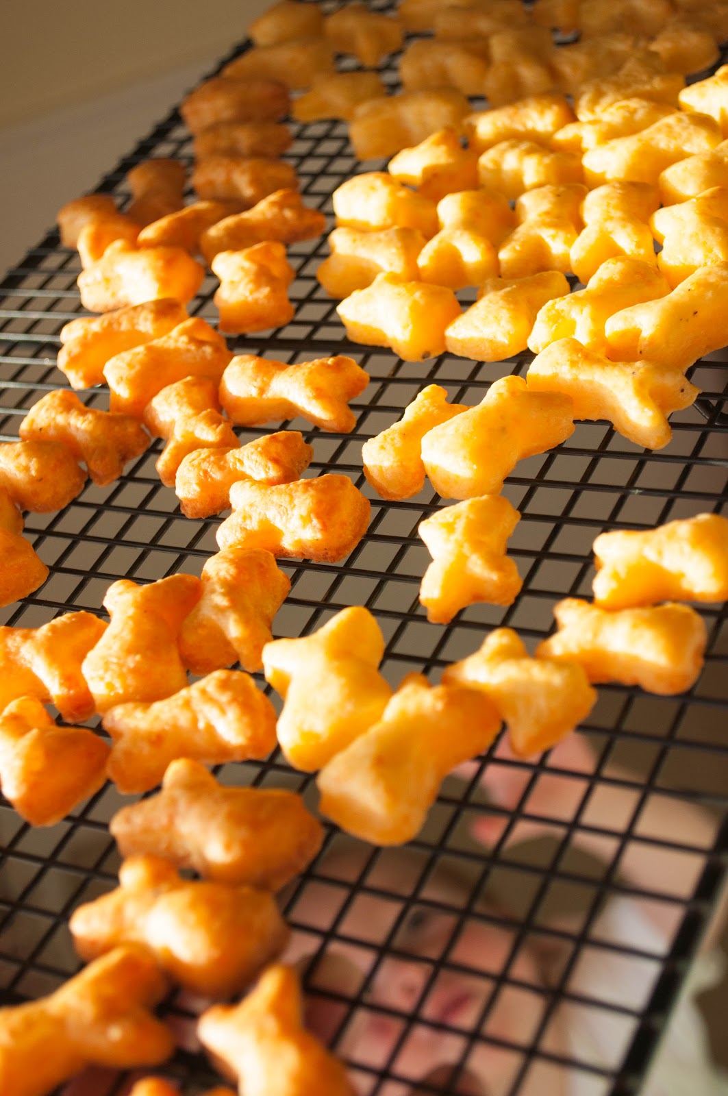 Paisley Sprouts homemade "goldfish"