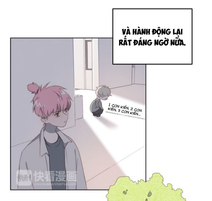 Đọc truyện Thế giới của một chú mèo - Chapter 11