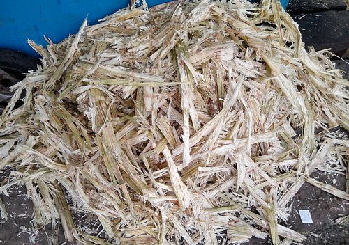 Investigation in Moisture Characteristics of Sugarcane Investigation in Moisture Characteristics of Sugarcane