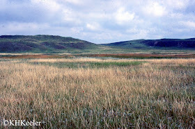  scène des prairies