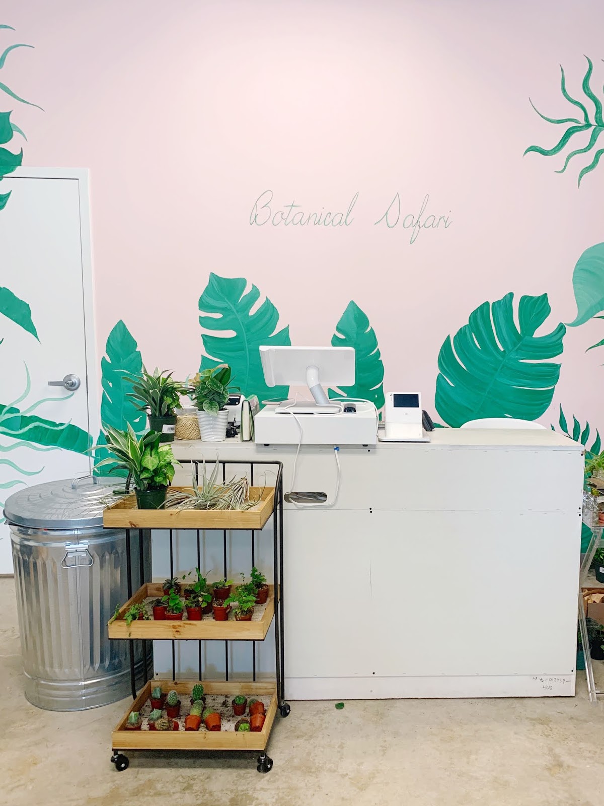 My Favorite New BlackOwned Plant Shop in AtlantaArea A